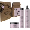 Coffret pour cheveux indisciplinés et bouclés Lakme Teknia Frizz Control 