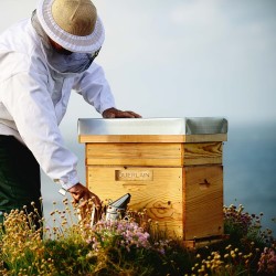 FLUIDE PROTECTEUR GUERLAIN ABEILLE ROYALE ÉCLAT JEUNESSE 