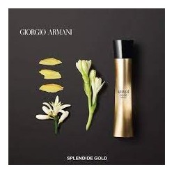 Eau de Parfum Femme GIORGIO ARMANI CODE ABSOLU 