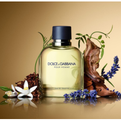 DOLCE & GABBANA POUR HOMME - EAU DE TOILETTE 