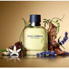 DOLCE & GABBANA POUR HOMME - EAU DE TOILETTE 