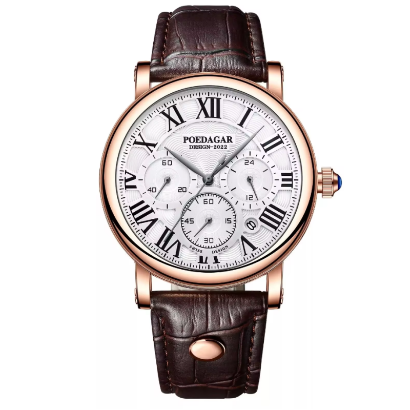 Montre Homme POEDAGAR  986 