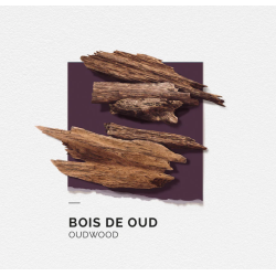 Eau de Parfum Homme Solinotes paris  BOIS DE OUD 