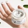 Crème PAYOT BAUME JEUNESSE VISAGE 50 ML 