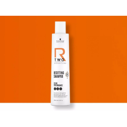 Shampooing Schwarzkopf  SHAMPOING R-TWO 250ML 