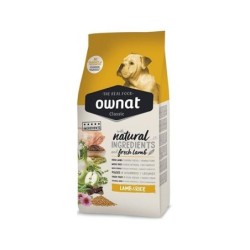 OWNAT CLASSIC CHIEN 