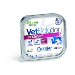 BARQUETTE DOG VET SOLUTION 