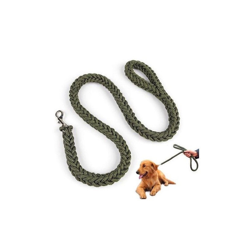 Dog King Laisses de chien - Avec collier - 1,20 m - Vert 