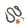 Dog King Laisses de chien - Avec collier - 1,20 m - Vert 