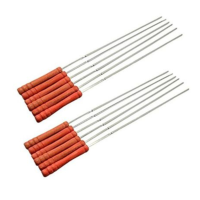 Brochettes En Acier Inoxydable lot de 12 