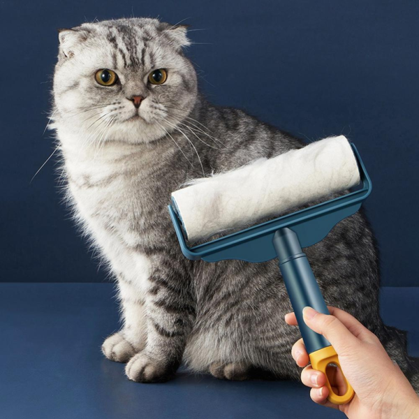 Brosse de nettoyage pour animaux