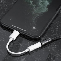 Adaptateur Aux pour IPhone 