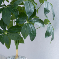 Plantes artificielles en Pot Blanc 