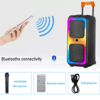 Double haut-parleur Bluetooth avec télécommande et micro 