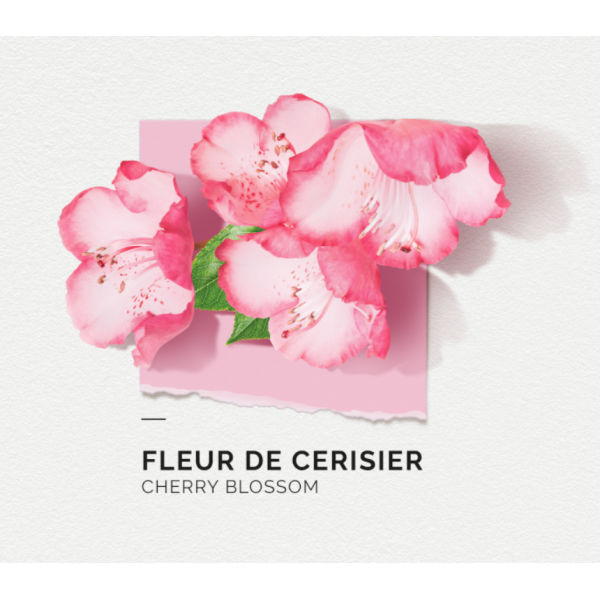 Eau de Parfum Femme Solinotes paris  FLEUR DE CERISIER 