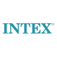 Intex